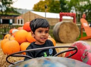 Odds Farm Pumpkin Festival to return with 15,000 pumpkins