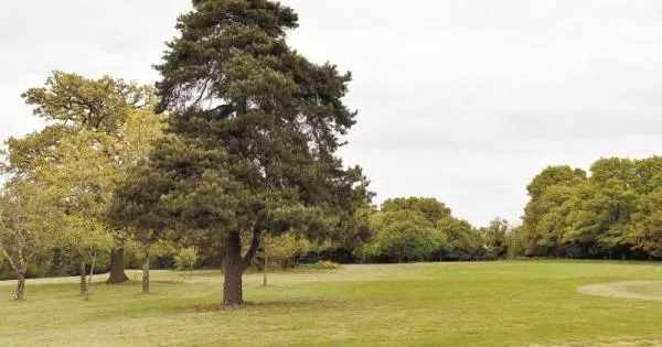Golf course junction changes approved despite calls for another deferral
